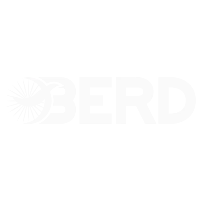Berd Logo