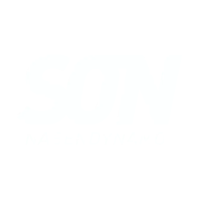 SON logo